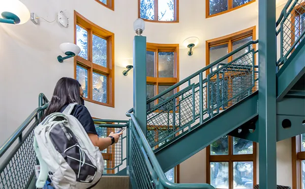 A student walking up a flight of stairs while using their phone