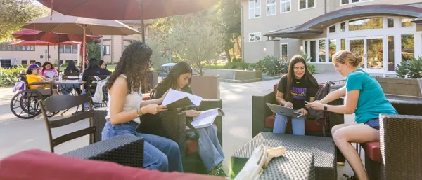 Students sitting outside studying together